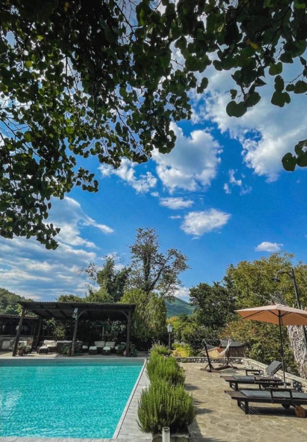 Bourazani Wild Life Resort Konitsa Exterior photo