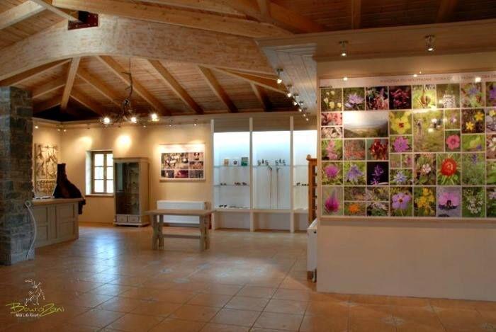 Bourazani Wild Life Resort Konitsa Exterior photo
